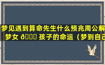 梦见遇到算命先生什么预兆周公解梦女 🍁 孩子的命运（梦到自己遇到算命先生）